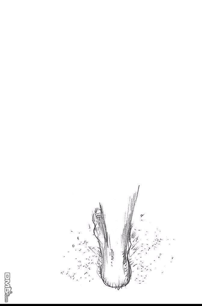 第208页
