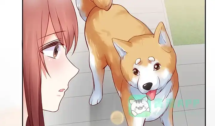 第261页