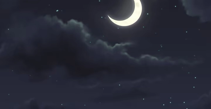 第100页