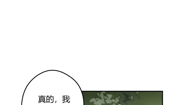 第244页