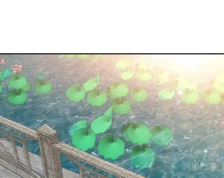第264页