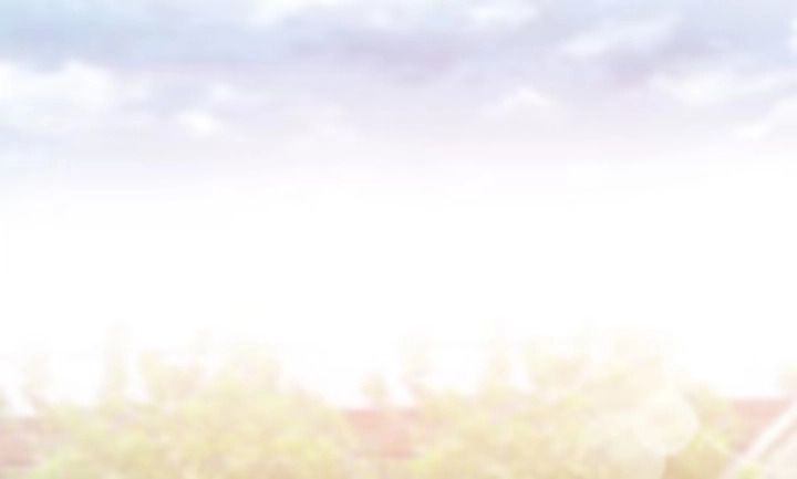 第295页
