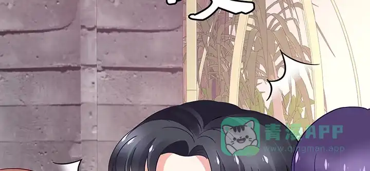 第231页