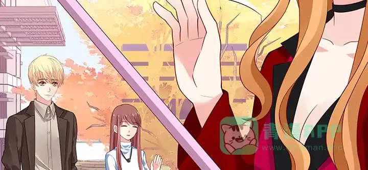 第206页