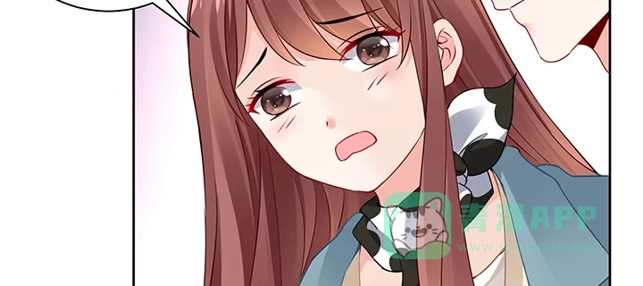 第231页