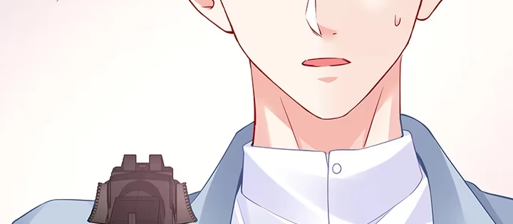 第213页