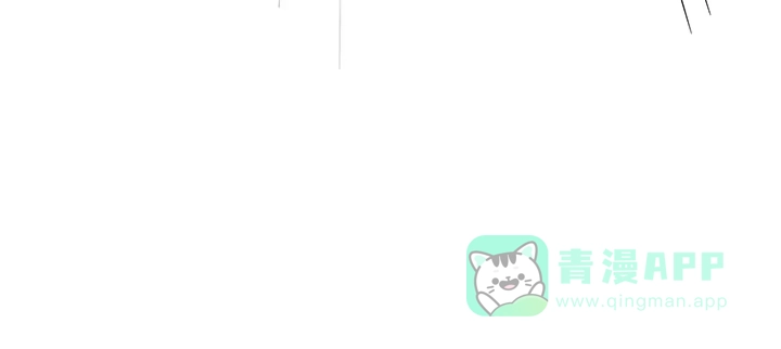 第236页