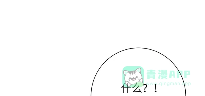 第221页
