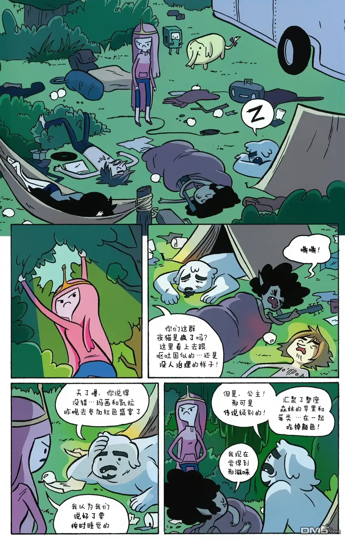 第5页