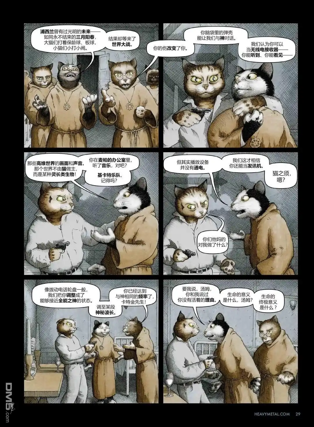 第5页
