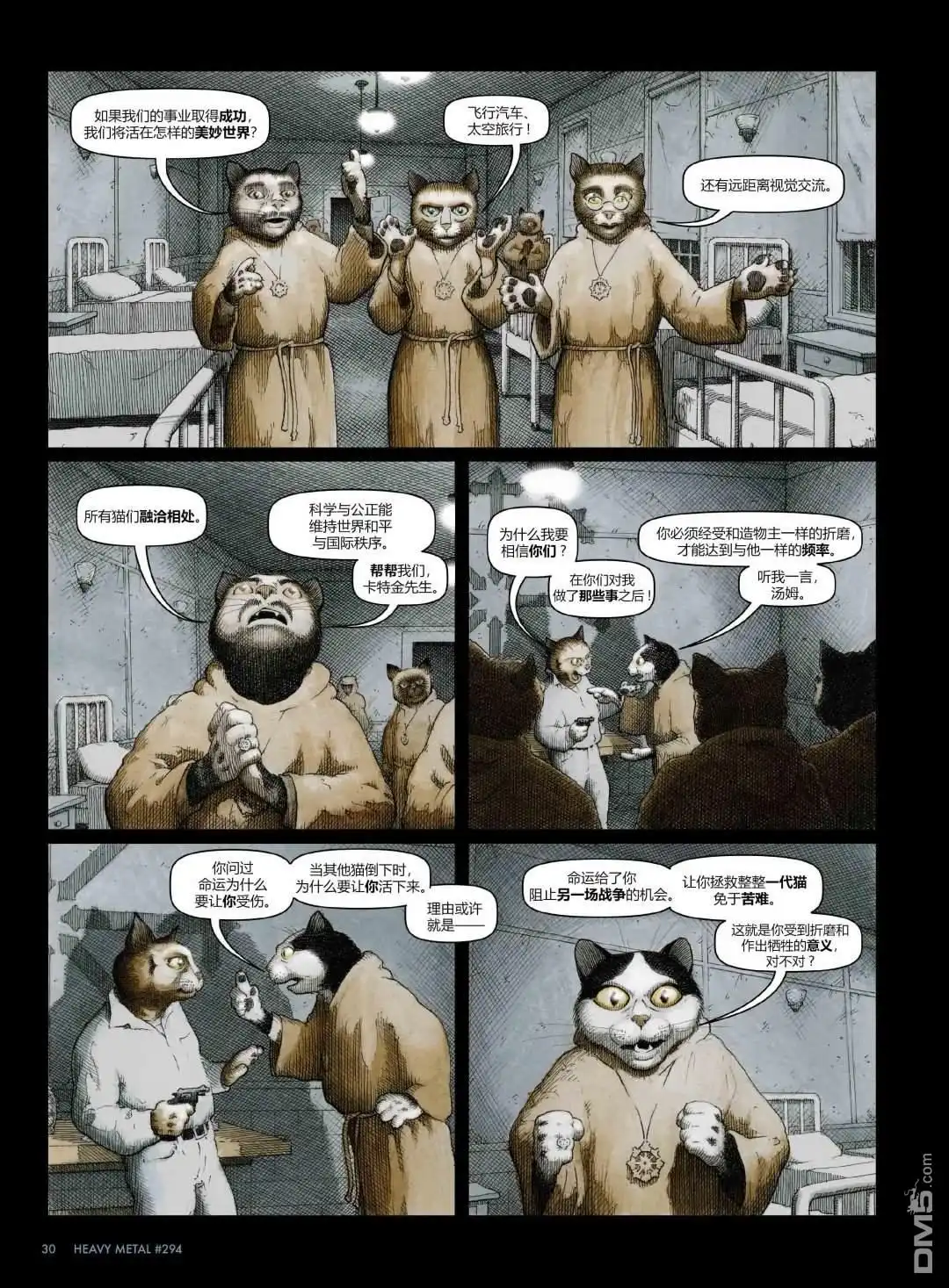 第6页