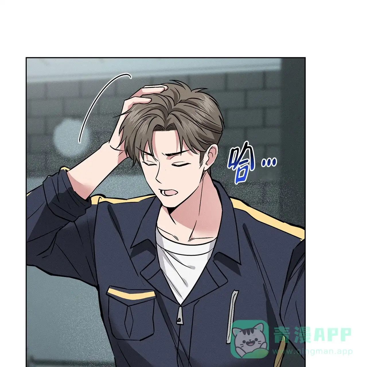 第41页