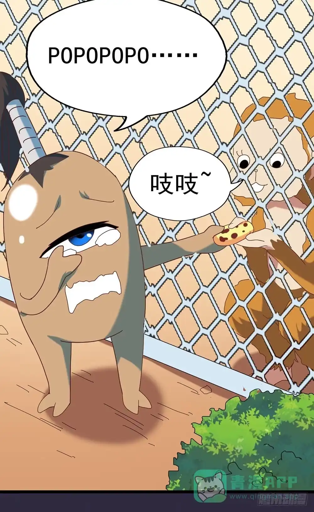 第51页