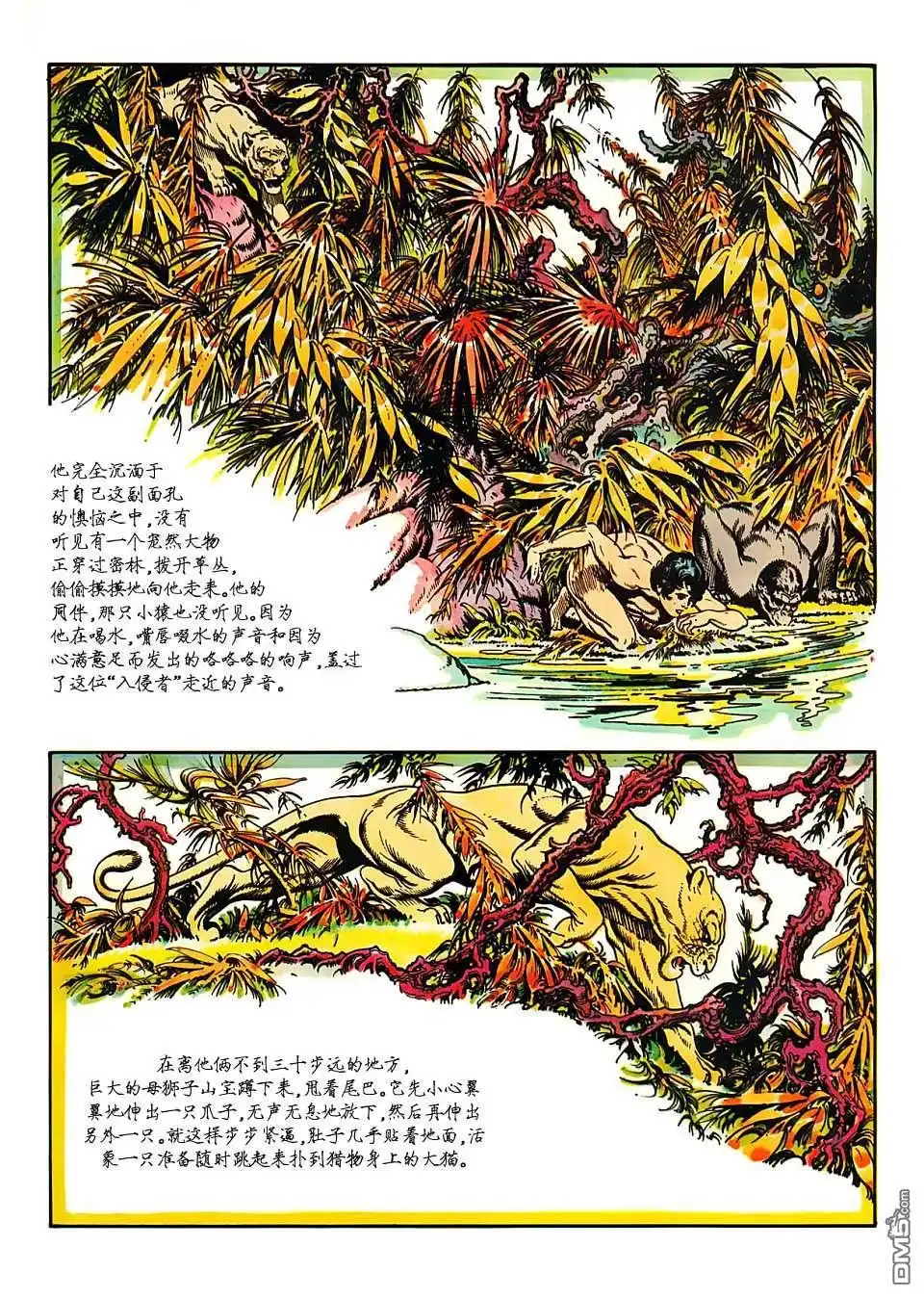 第47页