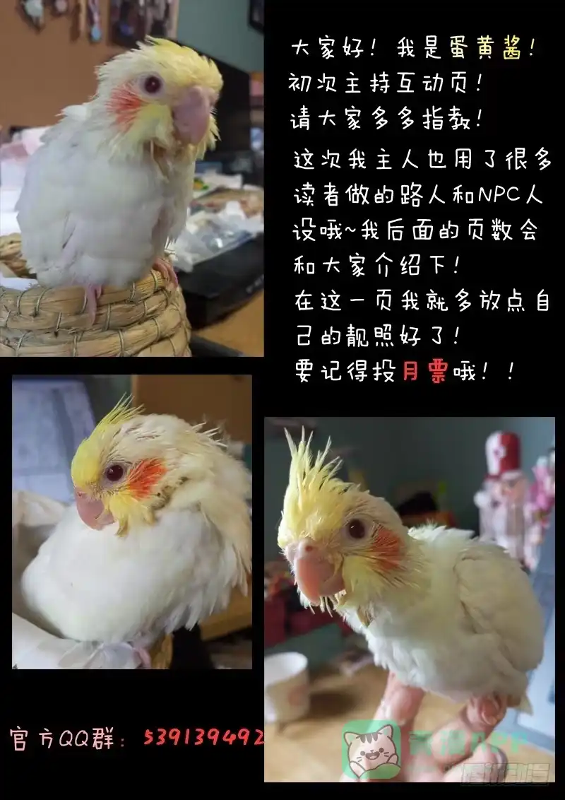 第16页
