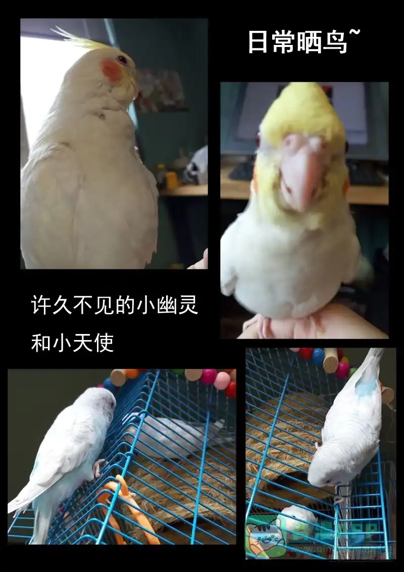 第16页
