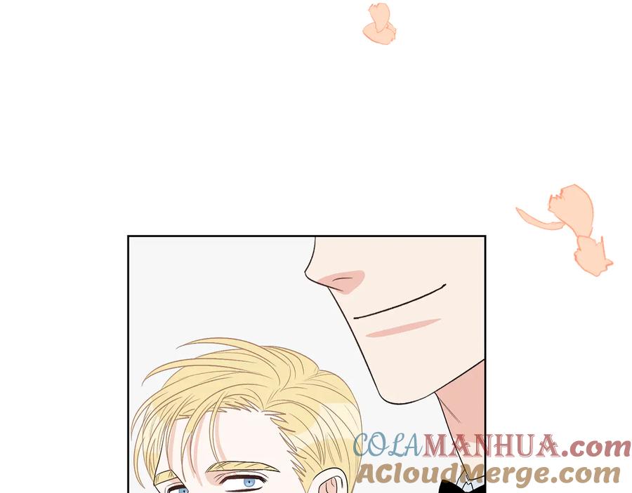 第339页