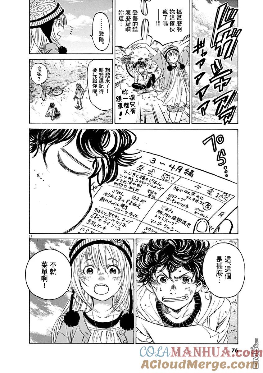 第17页