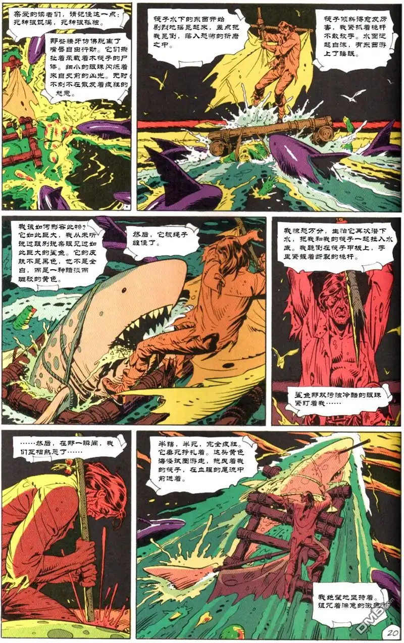 第20页