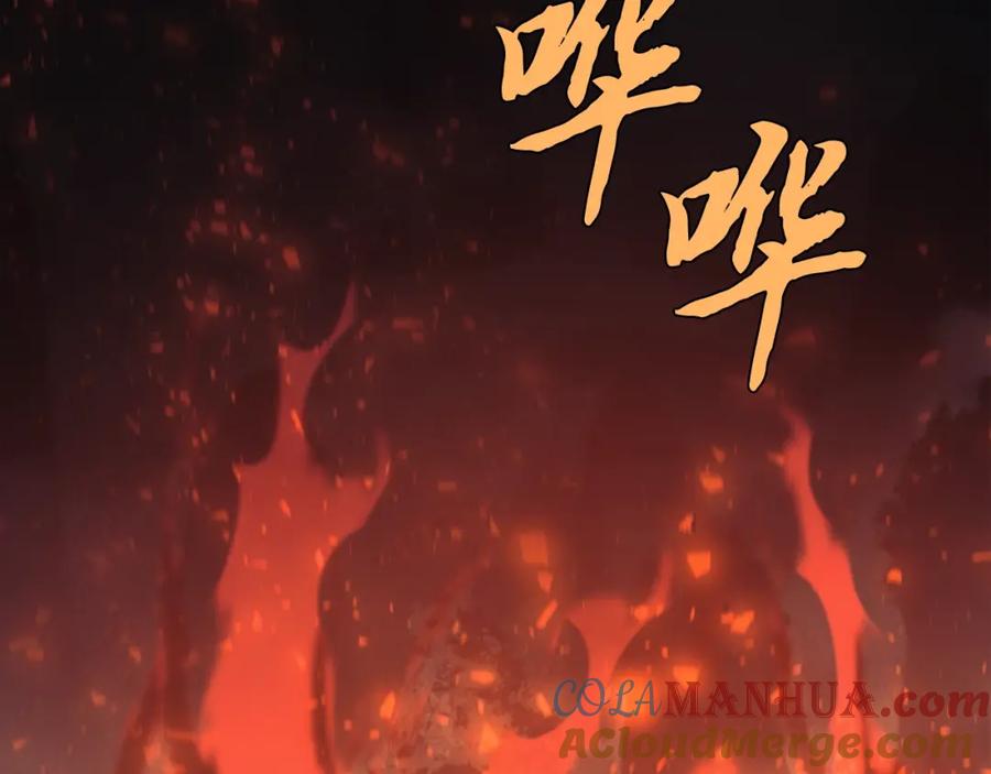 第213页