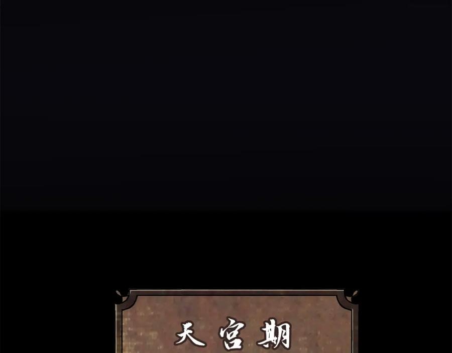 第223页