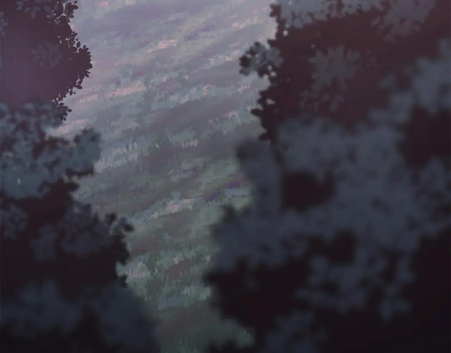 第239页