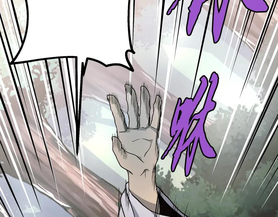 第231页