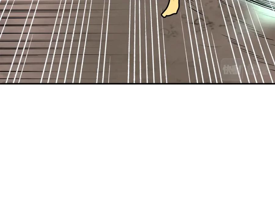 第204页