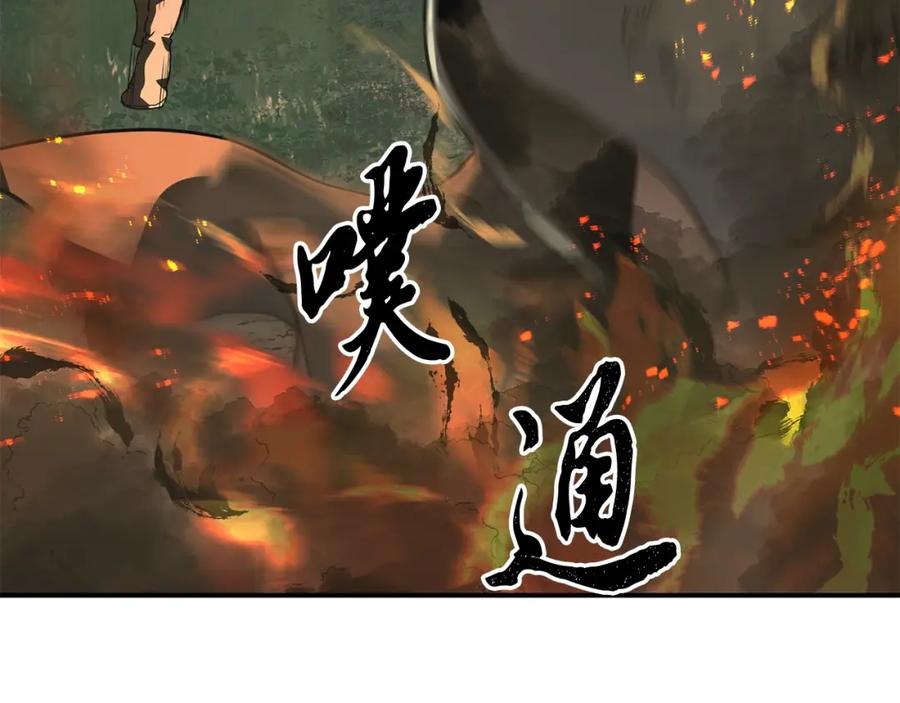 第244页