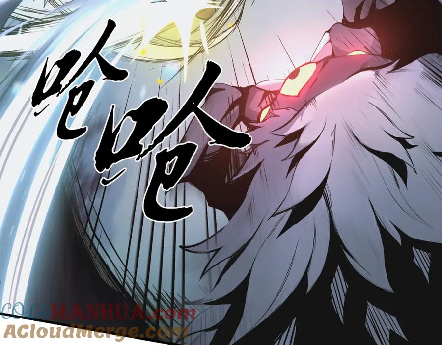 第205页