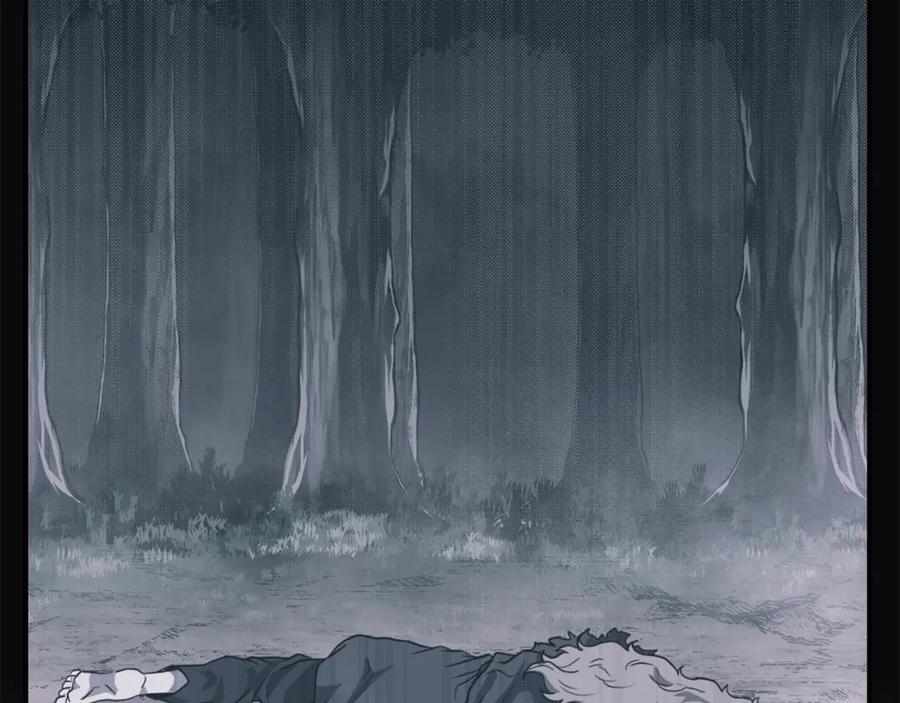 第215页