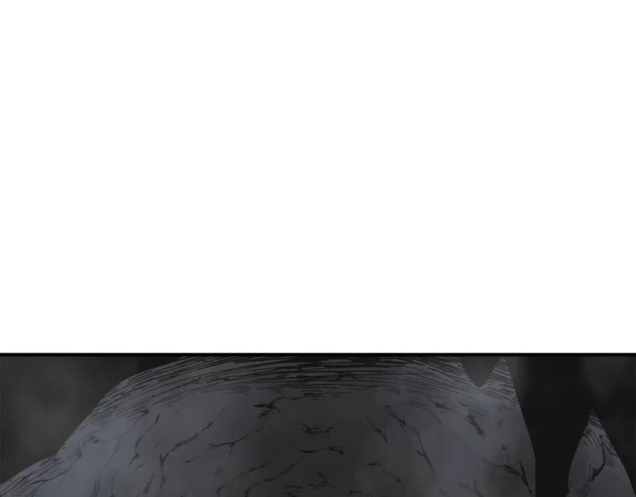 第247页