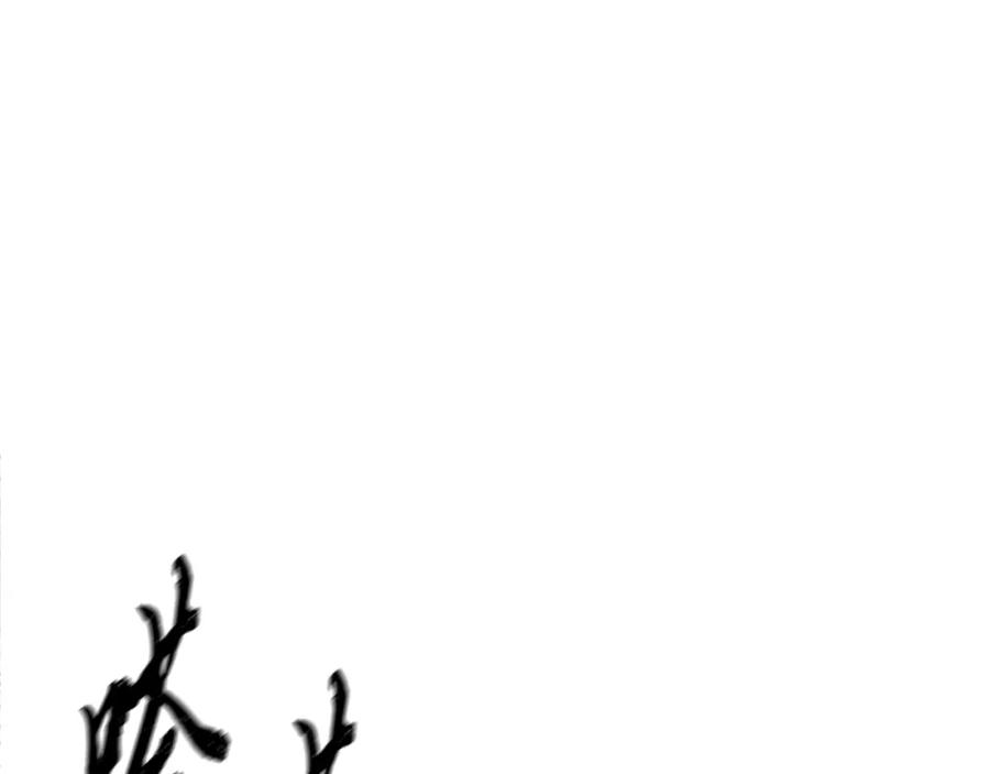 第215页