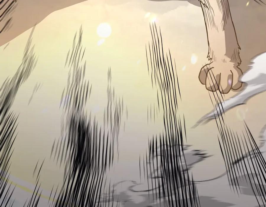 第231页