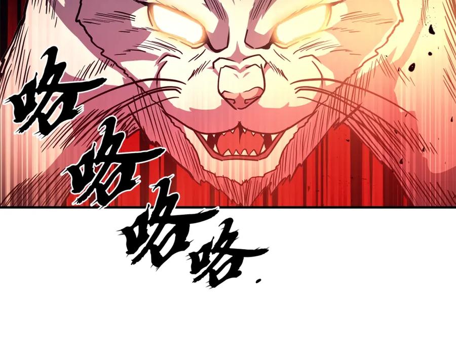 第234页