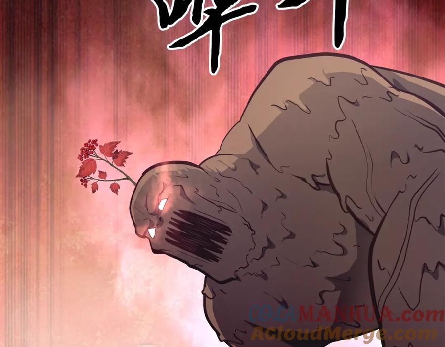 第209页