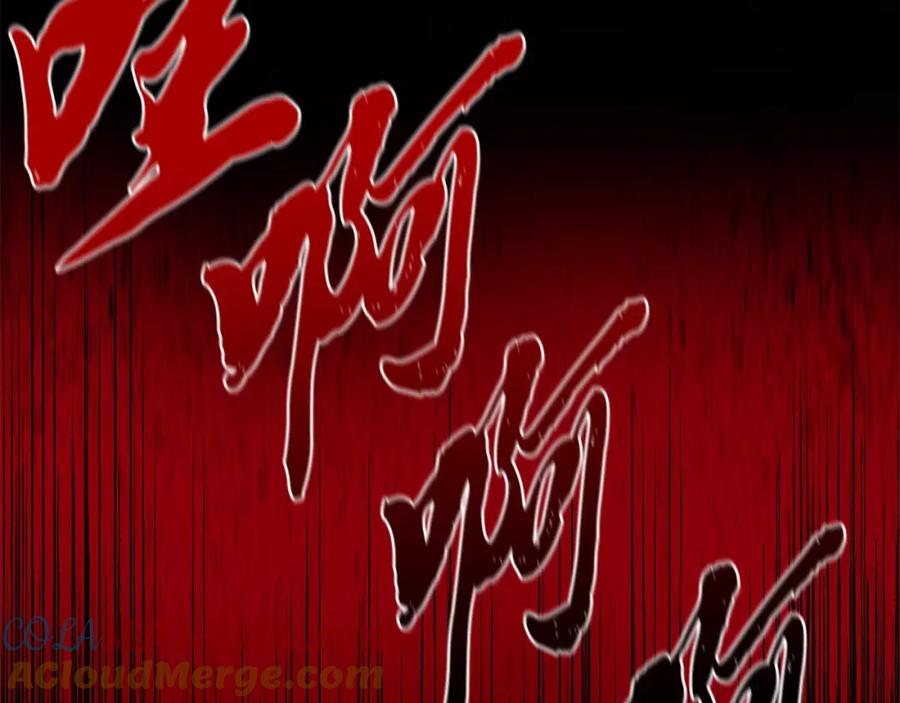 第213页