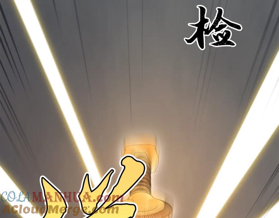 第217页
