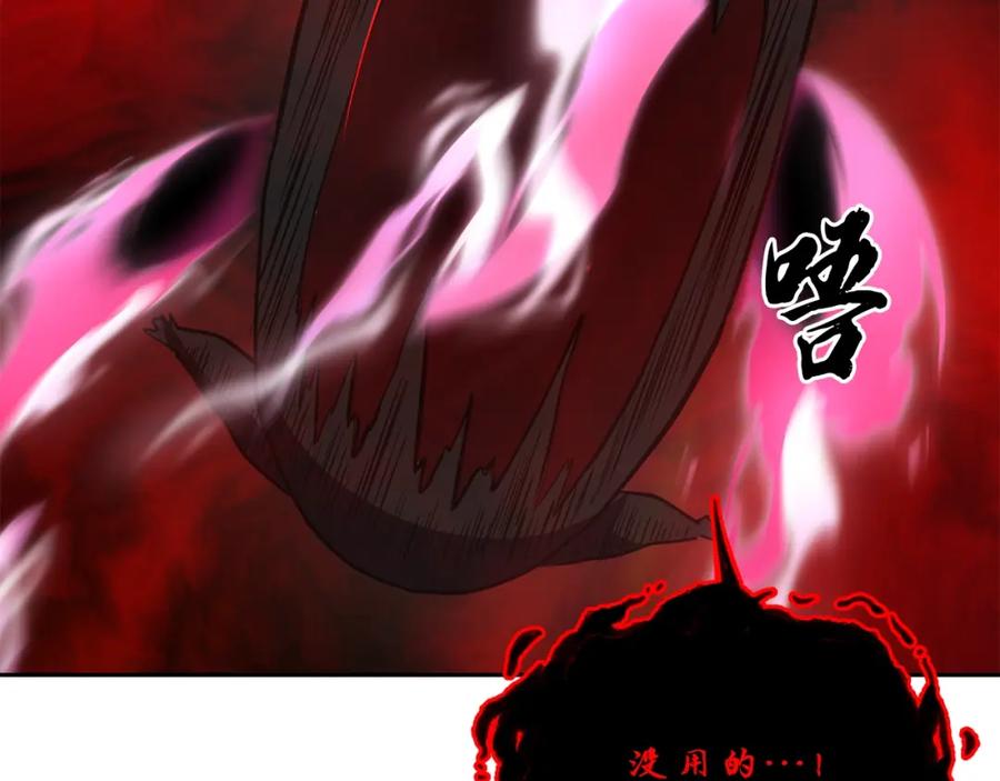 第204页