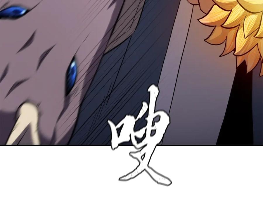 第215页