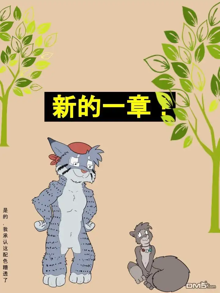 第3页