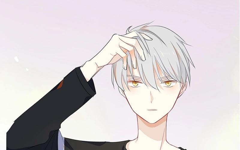 第68页