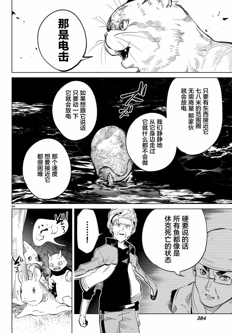 第64页