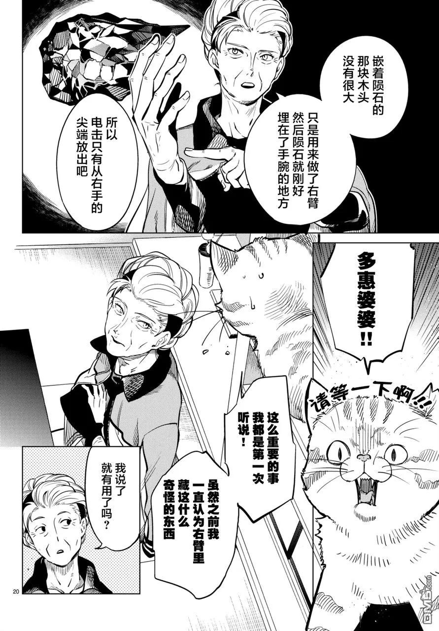 第20页