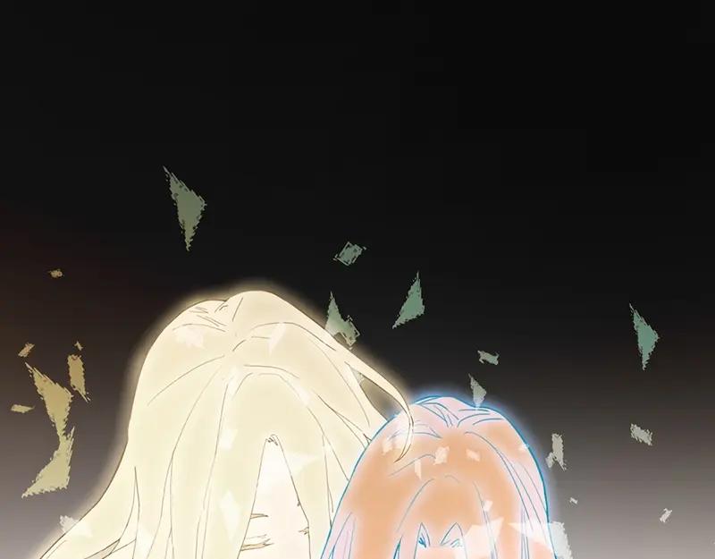 第223页