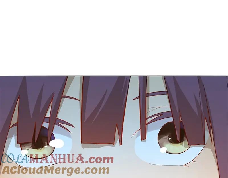 第241页