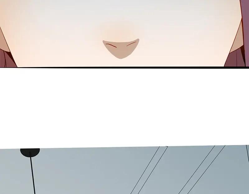 第242页