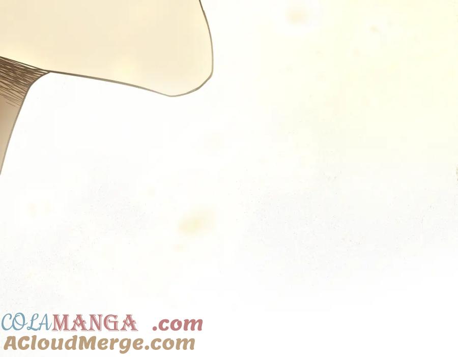 第242页