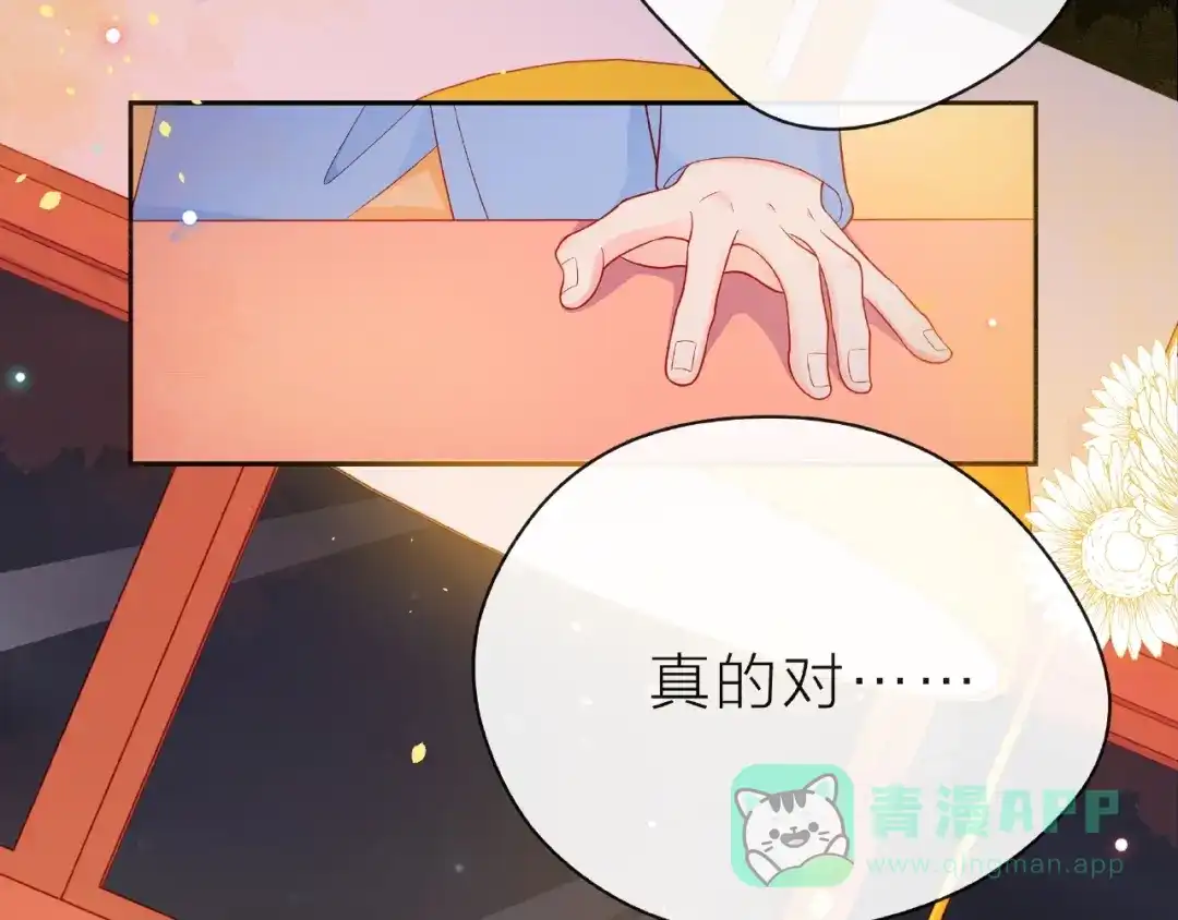 第206页