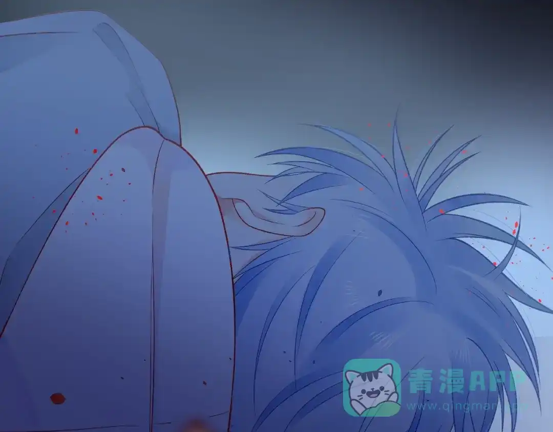 第221页